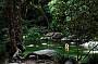 2 Day Great Barrier Reef & Daintree Eco Experience Tour